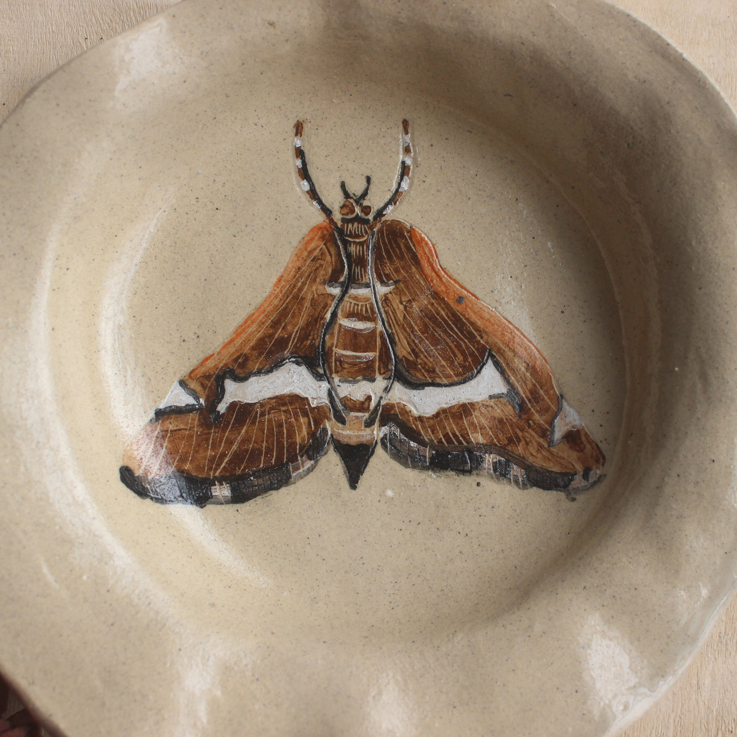 Moth plate - small