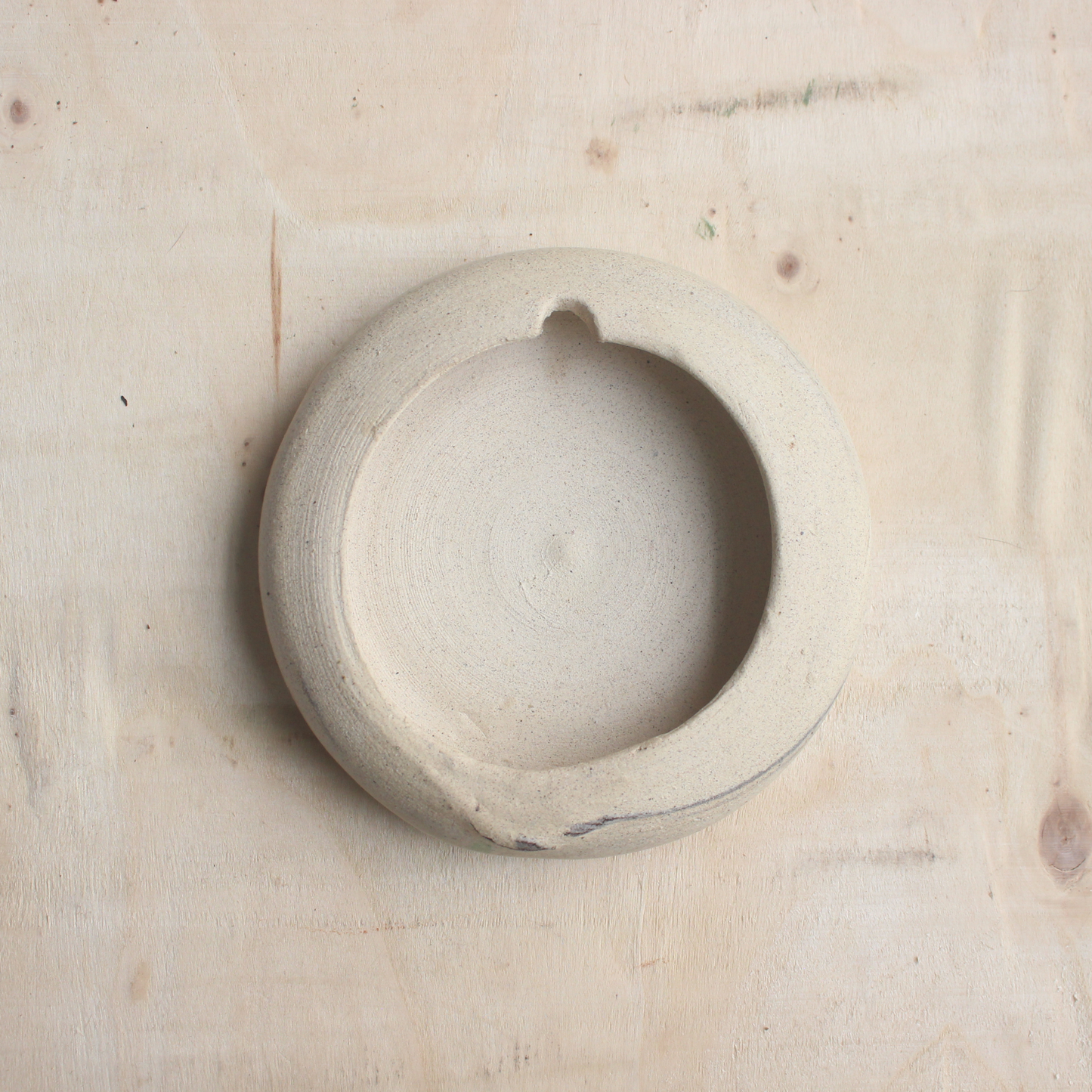 Parakeet- ceramic wall hanging