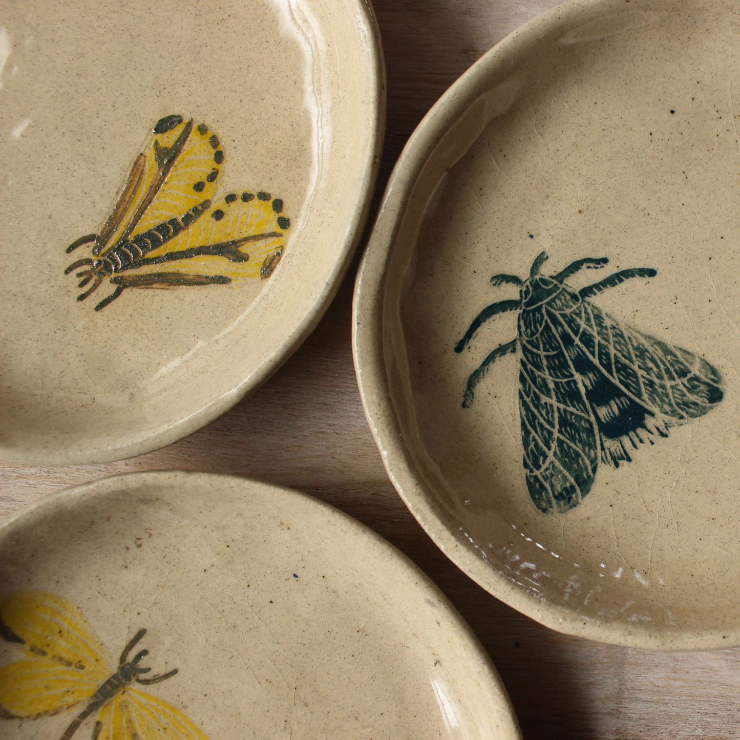 Trinket dish - insects