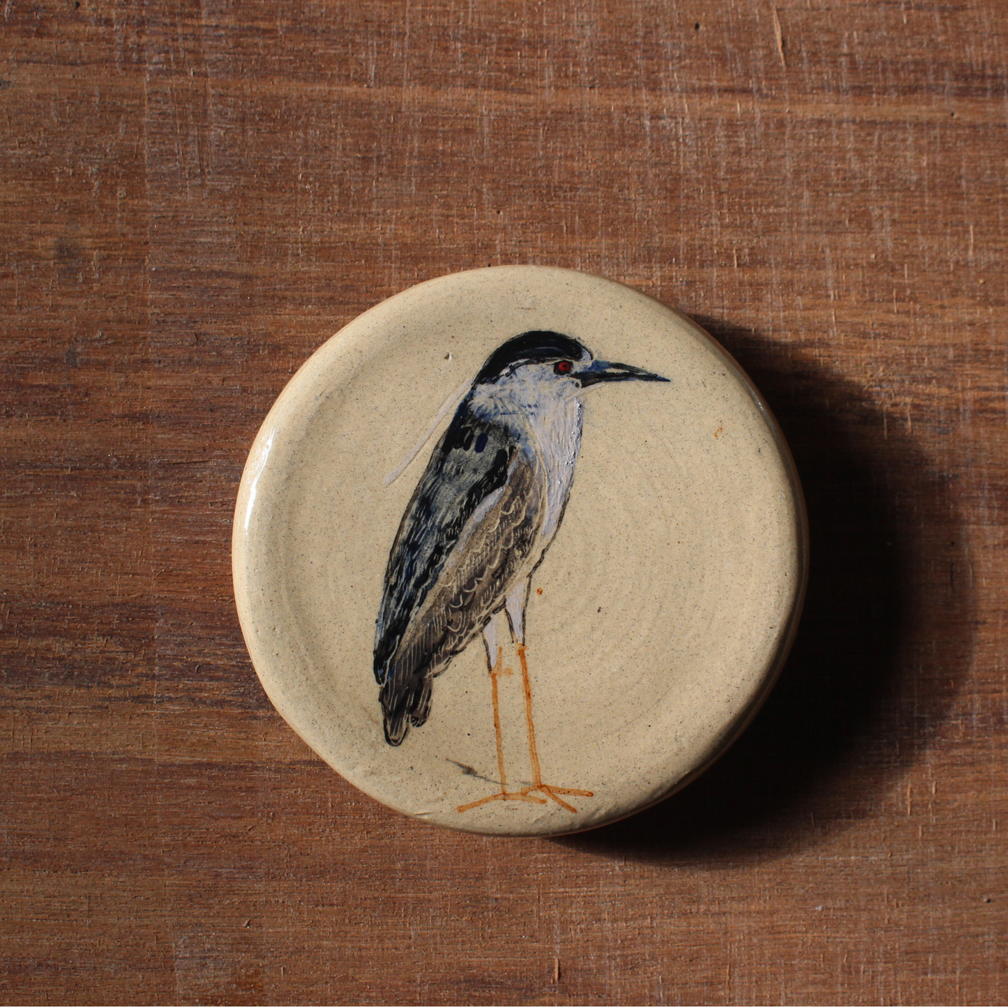 Night Heron