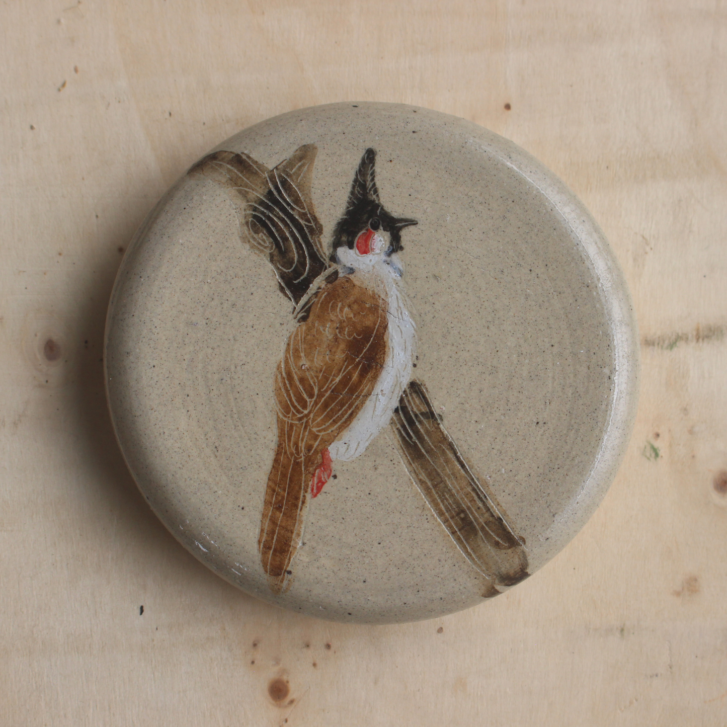 Red Whiskered Bulbul