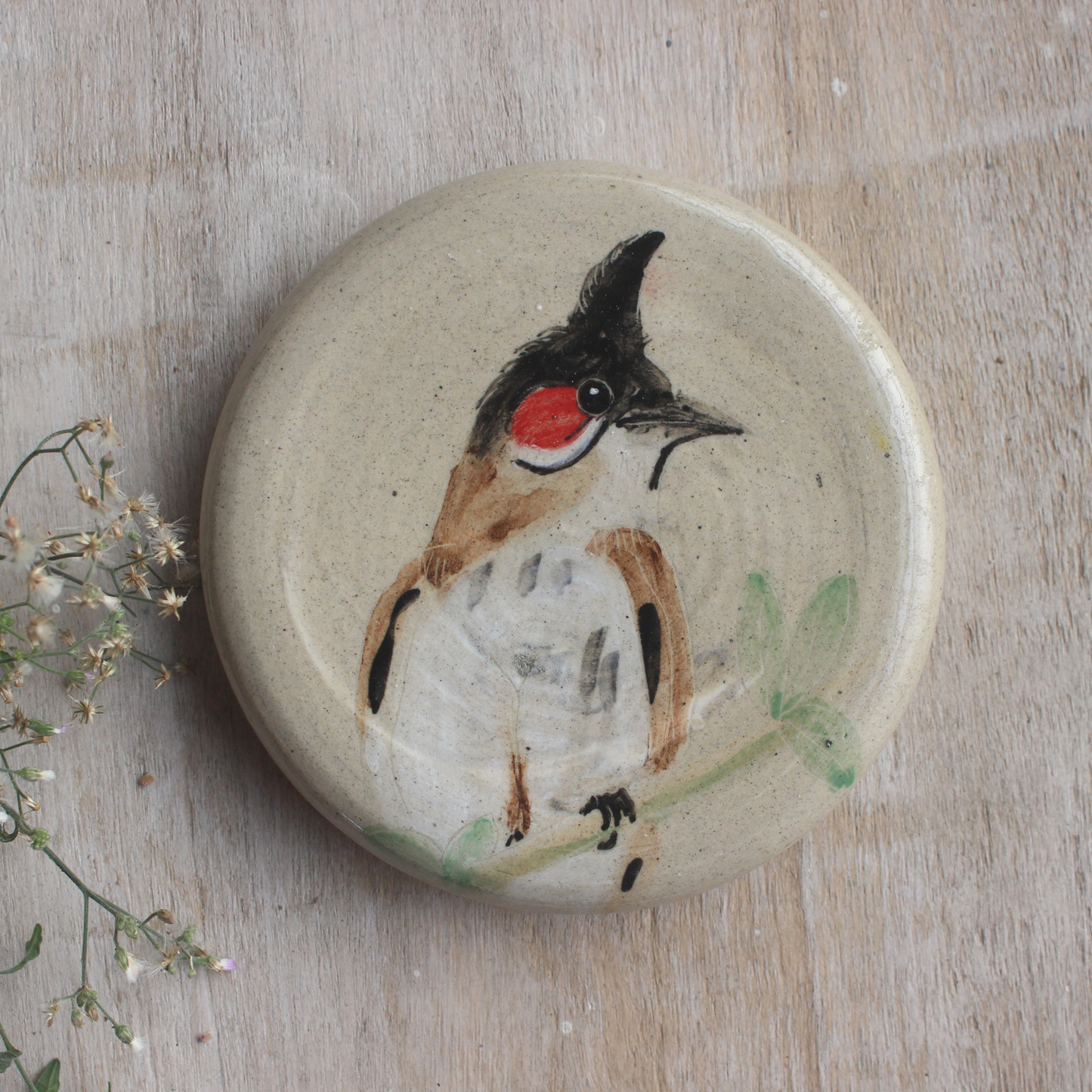 Red Whiskered Bulbul -portrait