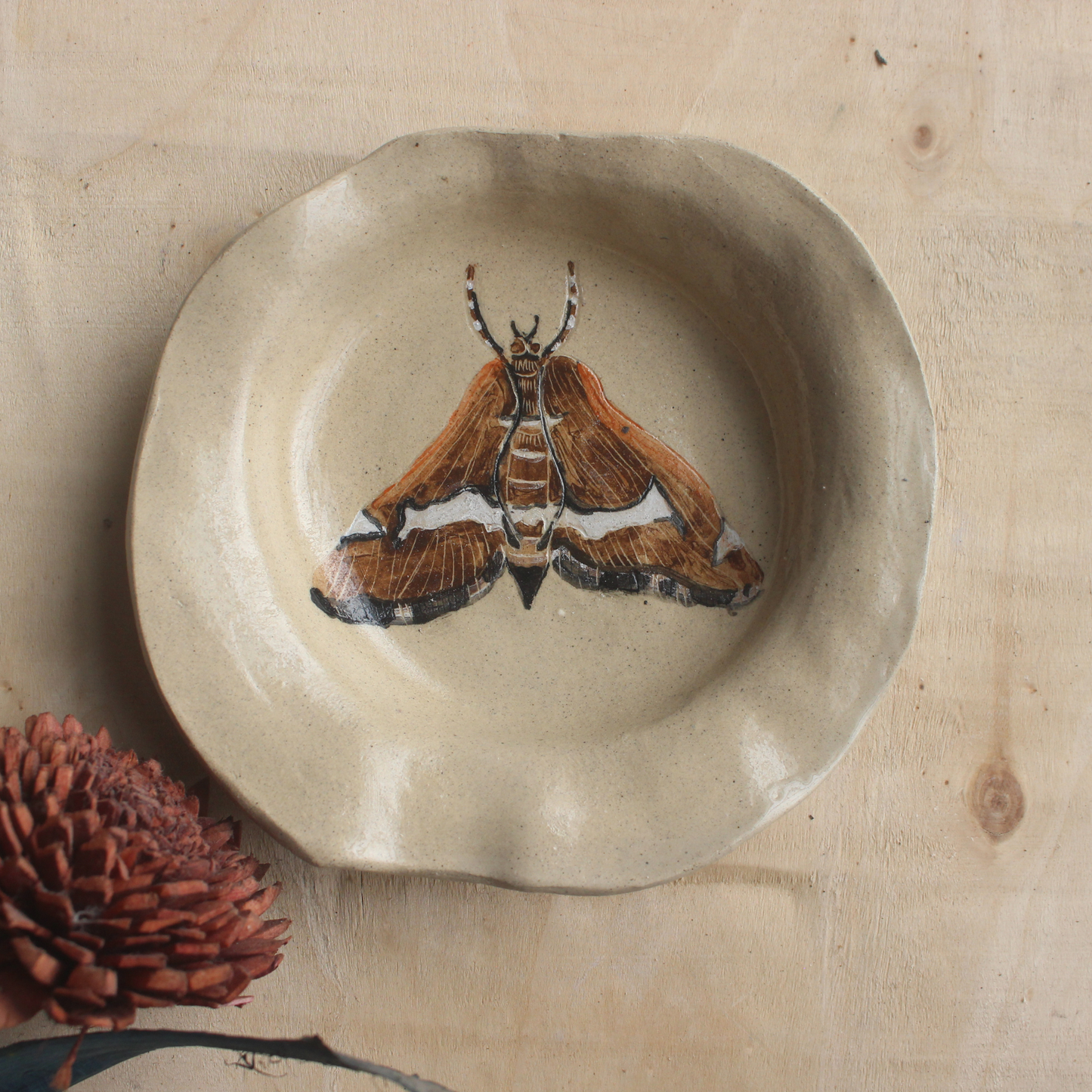 Moth plate - small