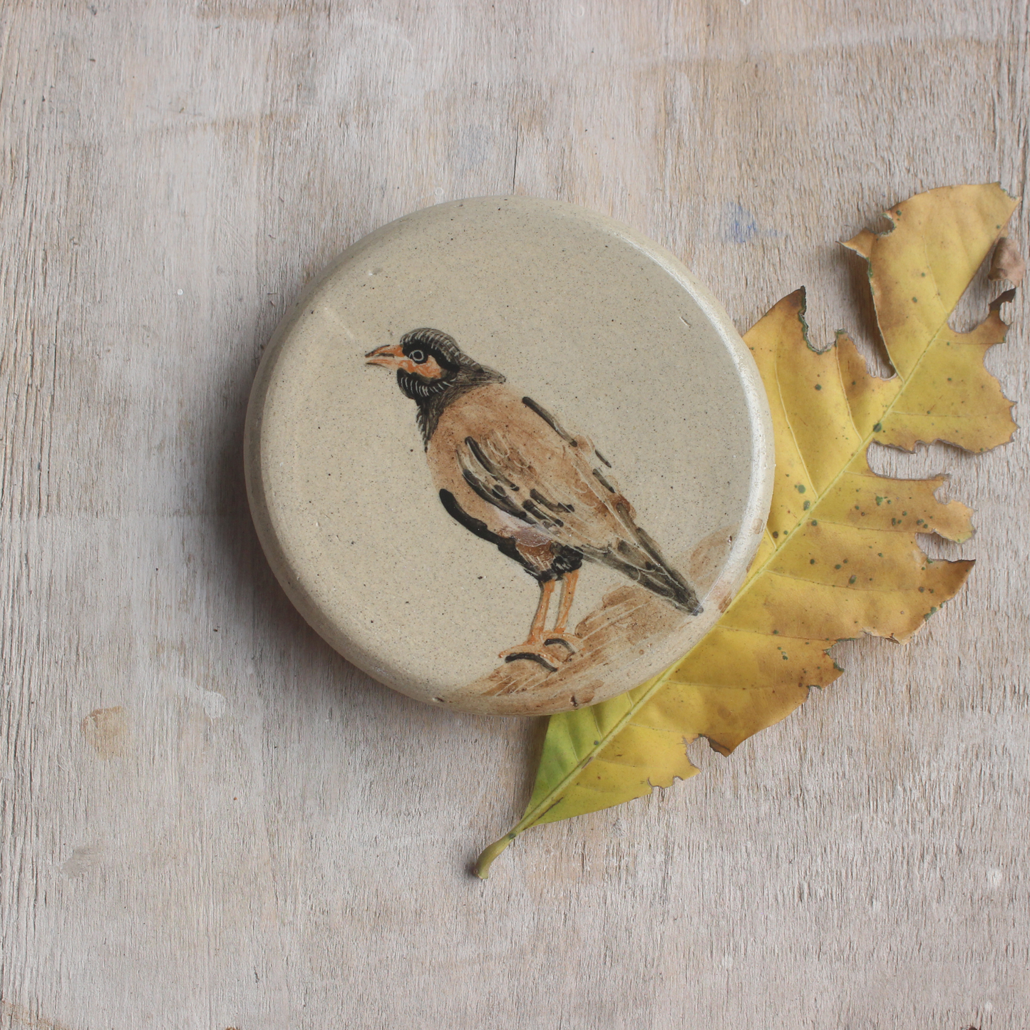Common Myna- wall hanging