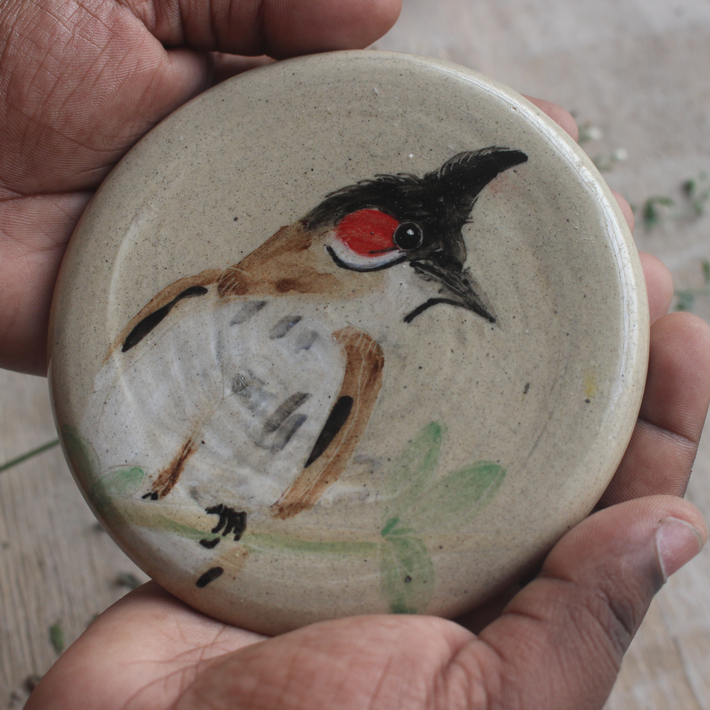 Red Whiskered Bulbul -portrait