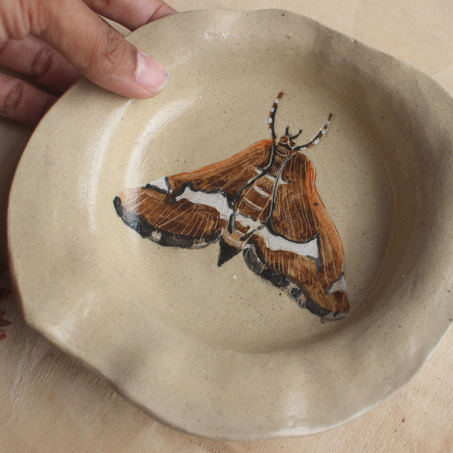 Moth plate - small