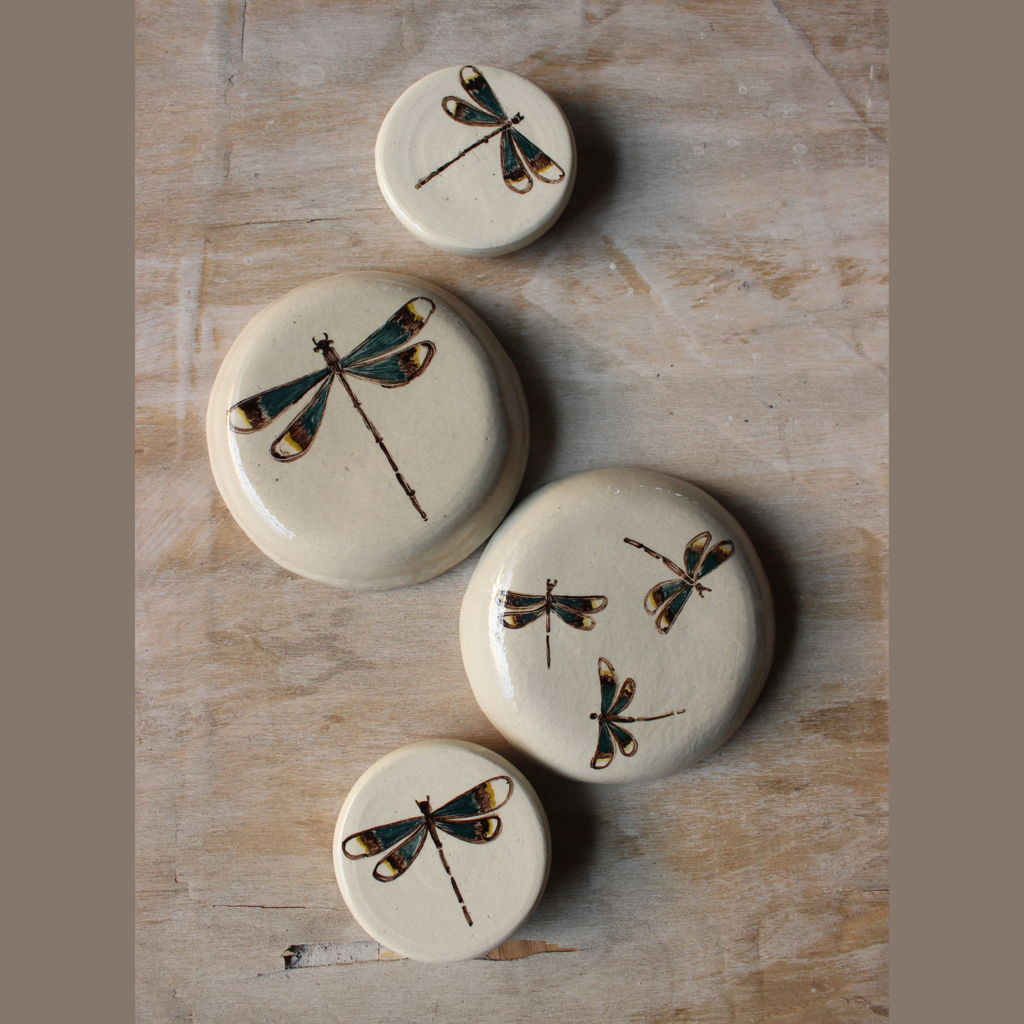 Damselfly wall decors