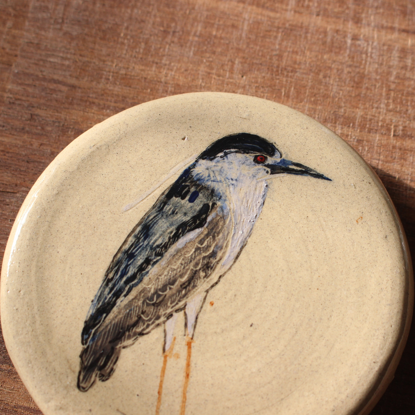 Night Heron
