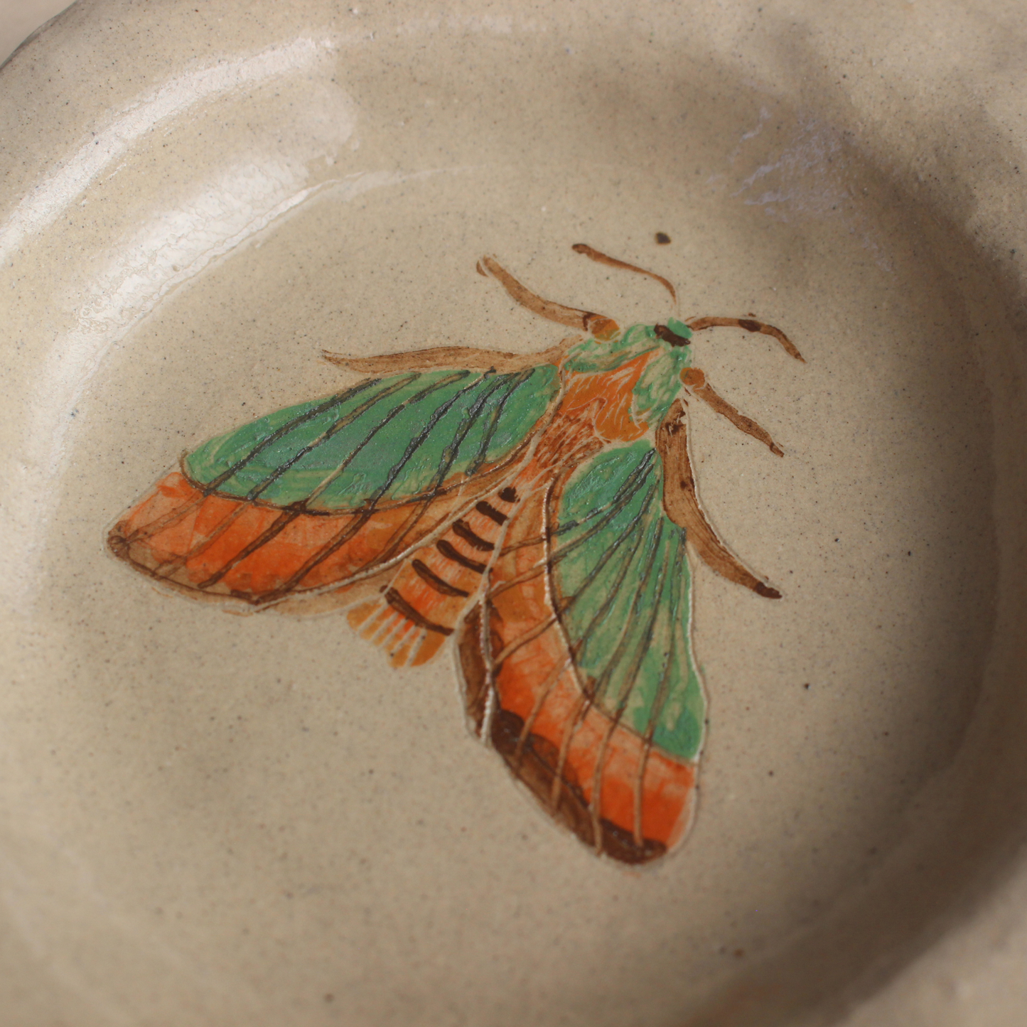 Green moth wall hanging