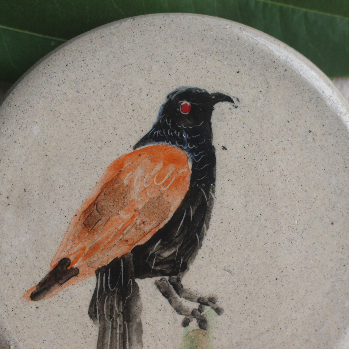 Coucal bird- wall hanging