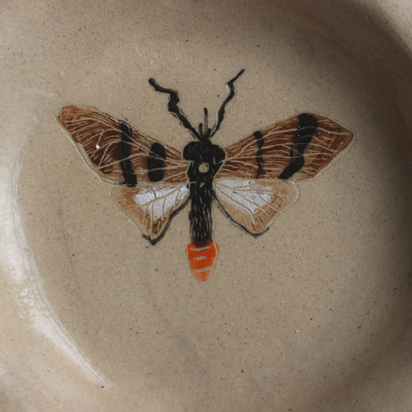 Moth plate- small