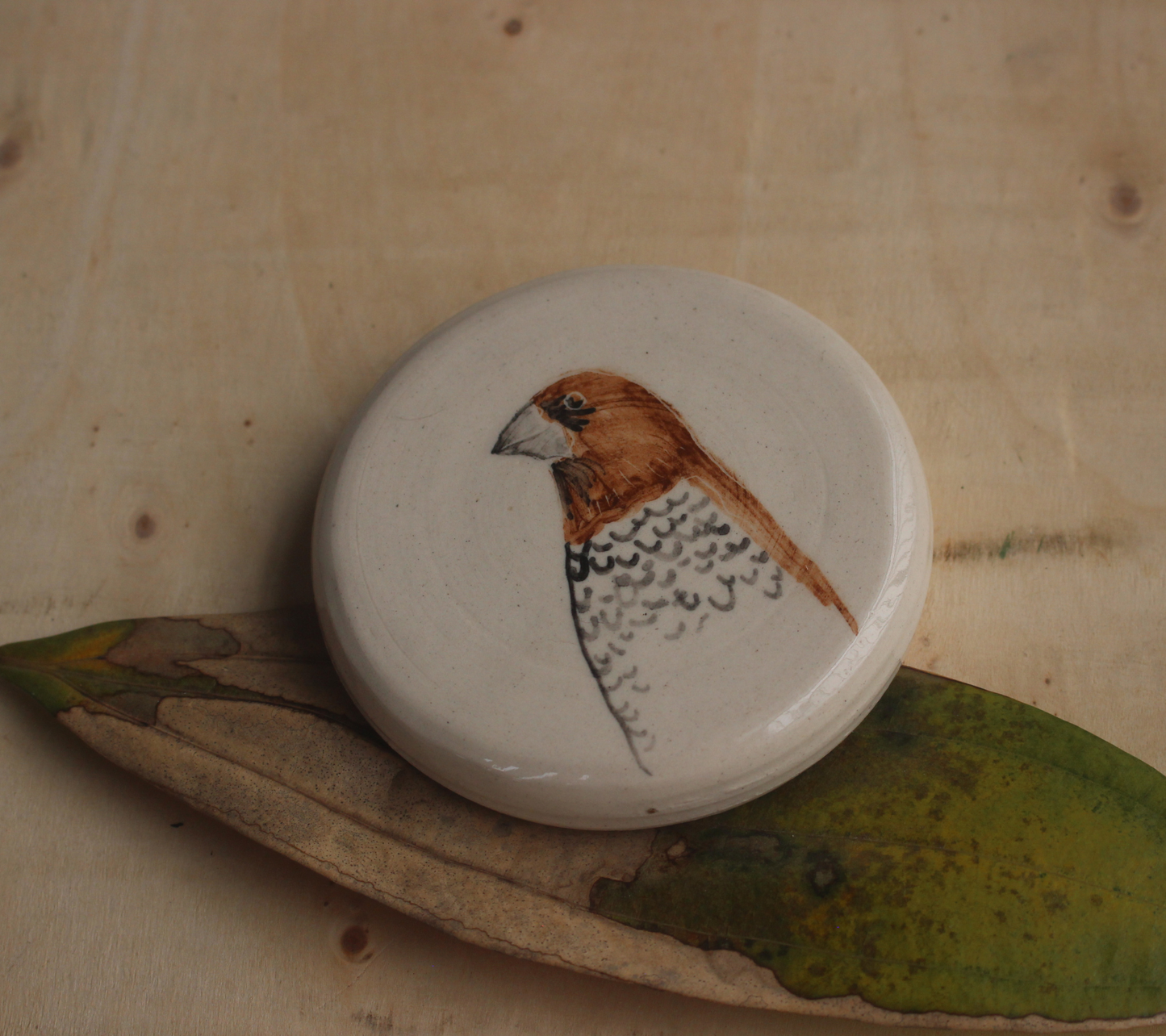 Munia bird wall hanging