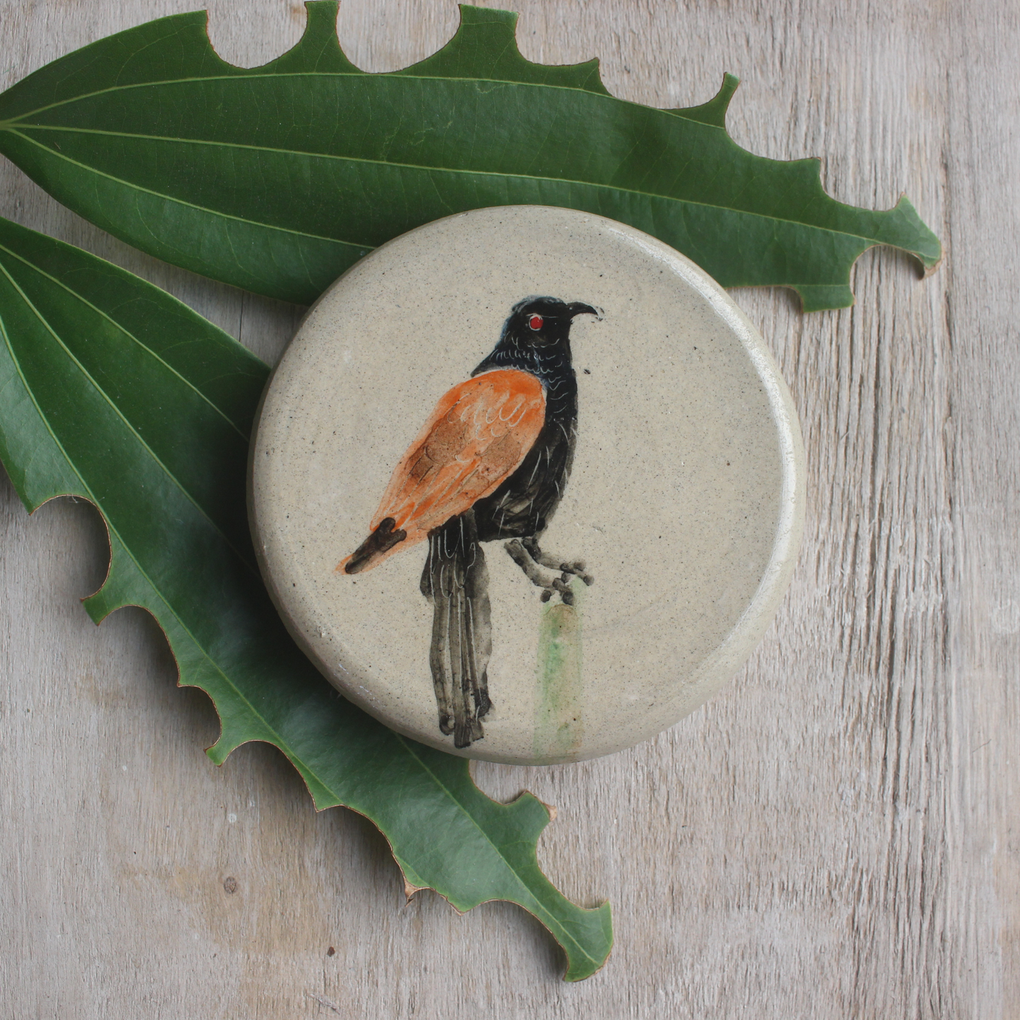 Coucal bird- wall hanging
