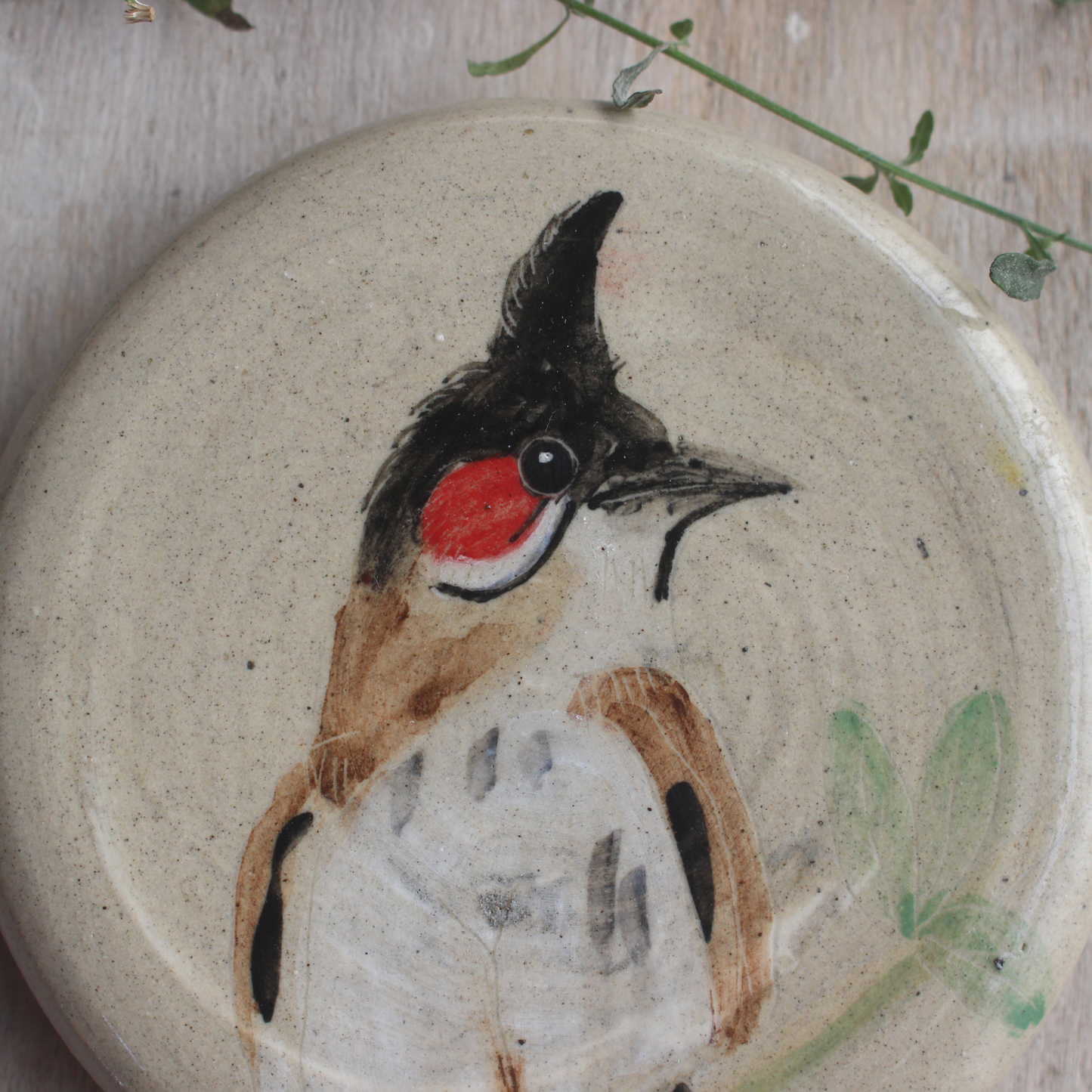 Red Whiskered Bulbul -portrait