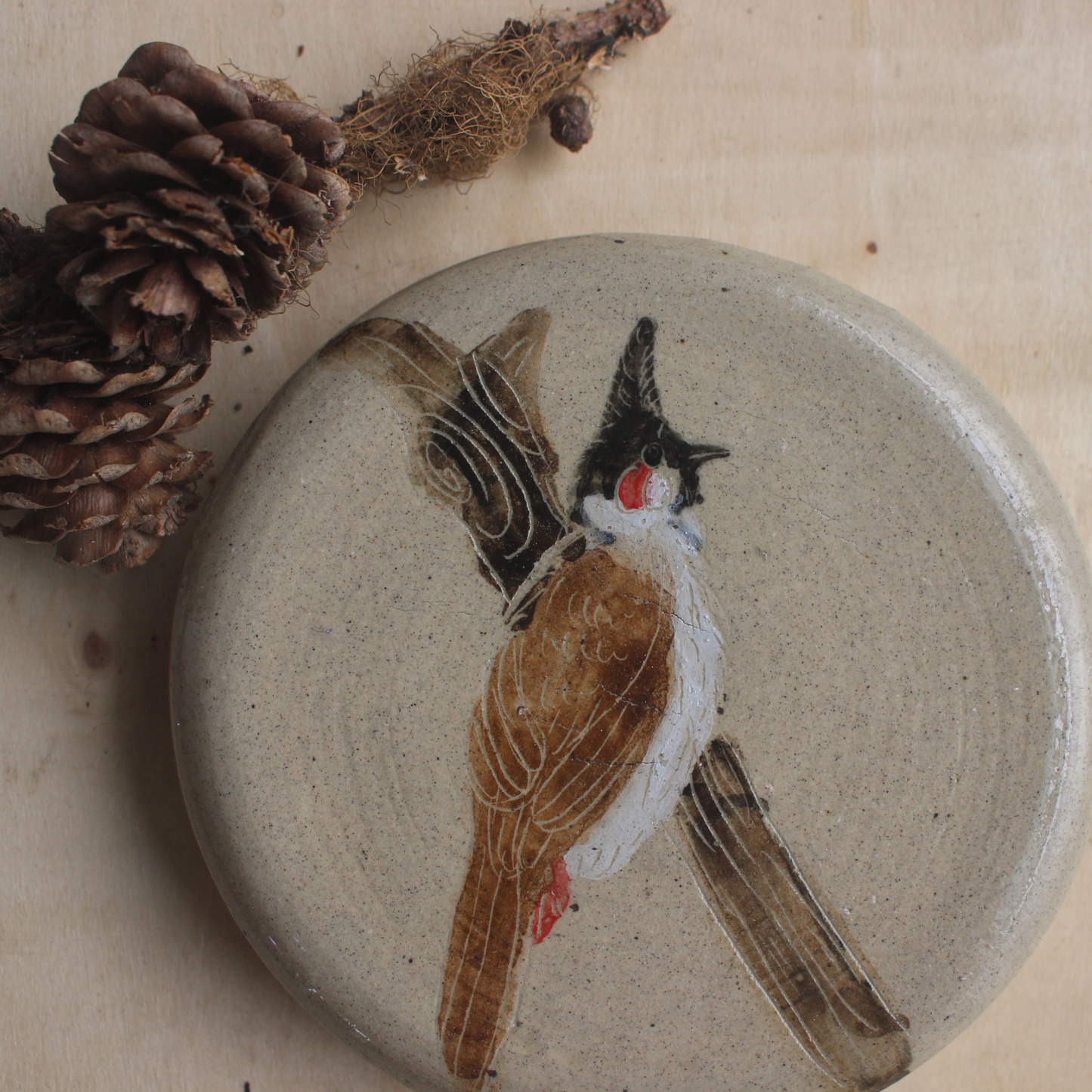 Red Whiskered Bulbul