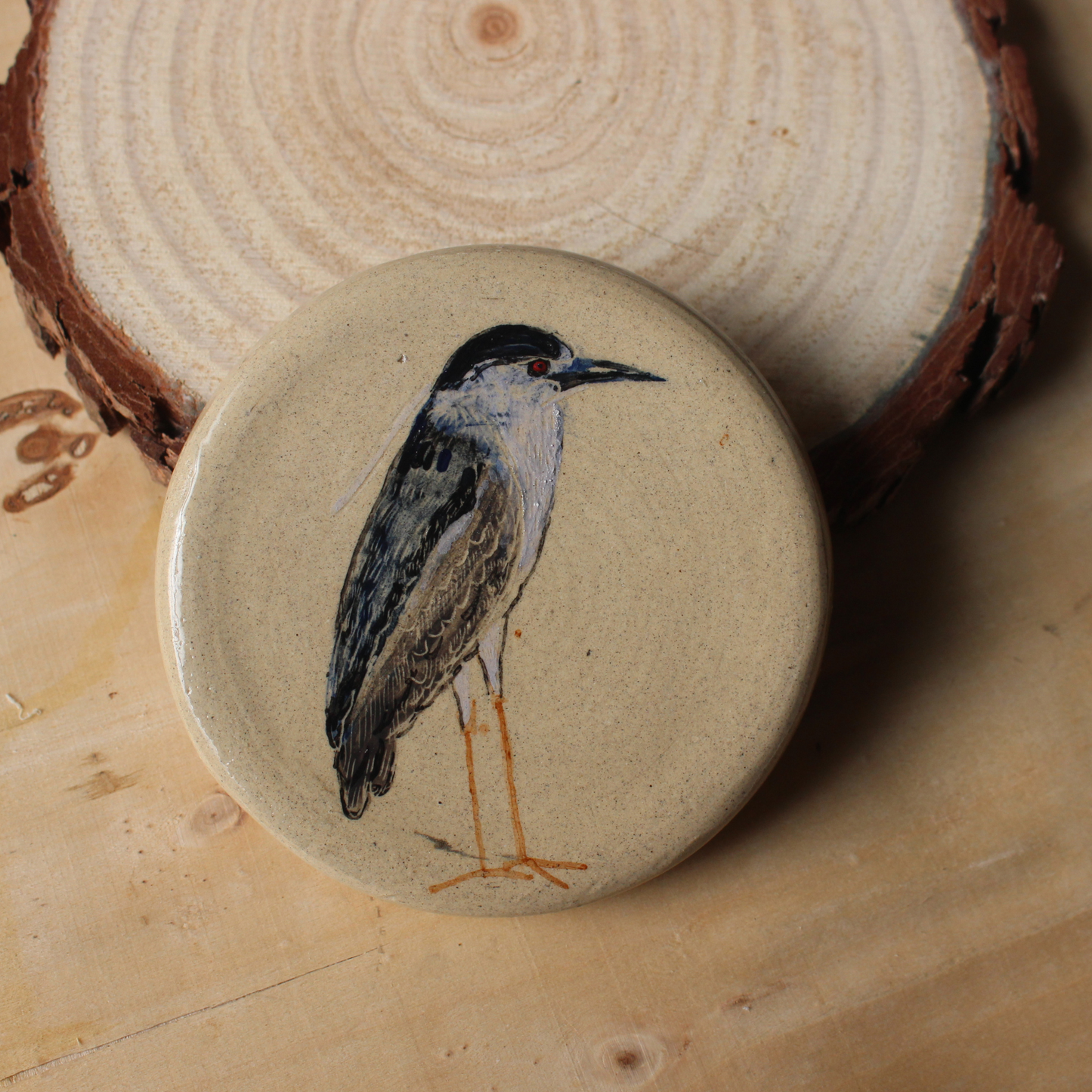 Night Heron