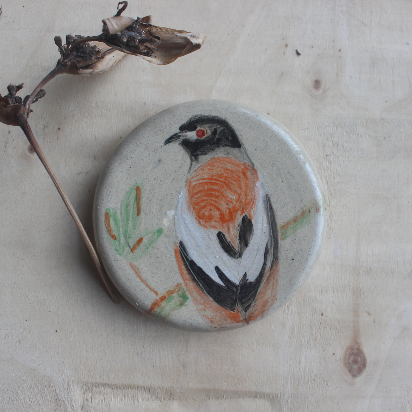 Rufous treepie wall hanging