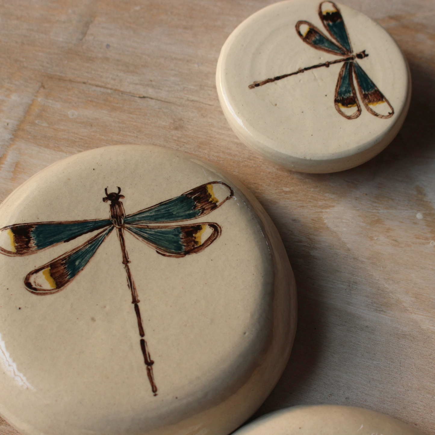 Damselfly wall decors