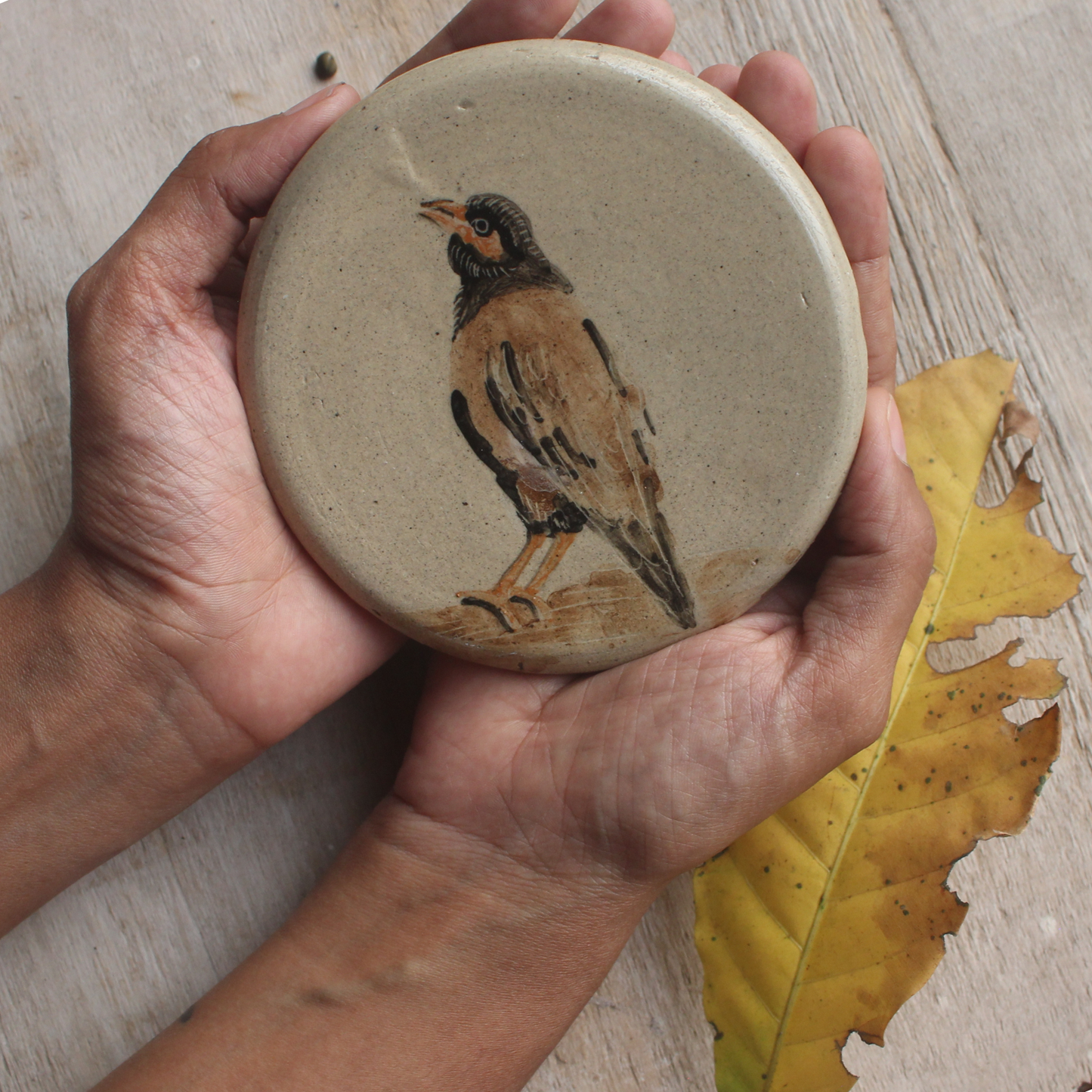 Common Myna- wall hanging