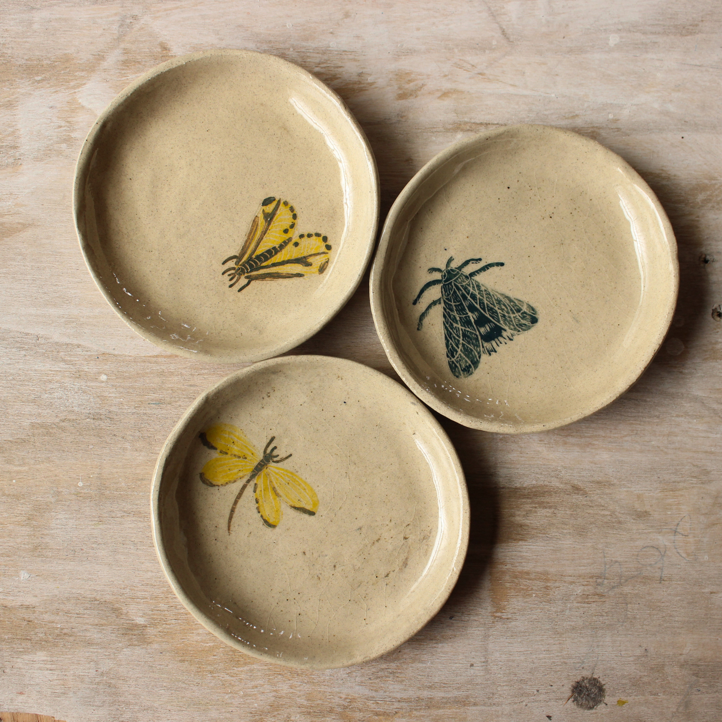 Trinket dish - insects