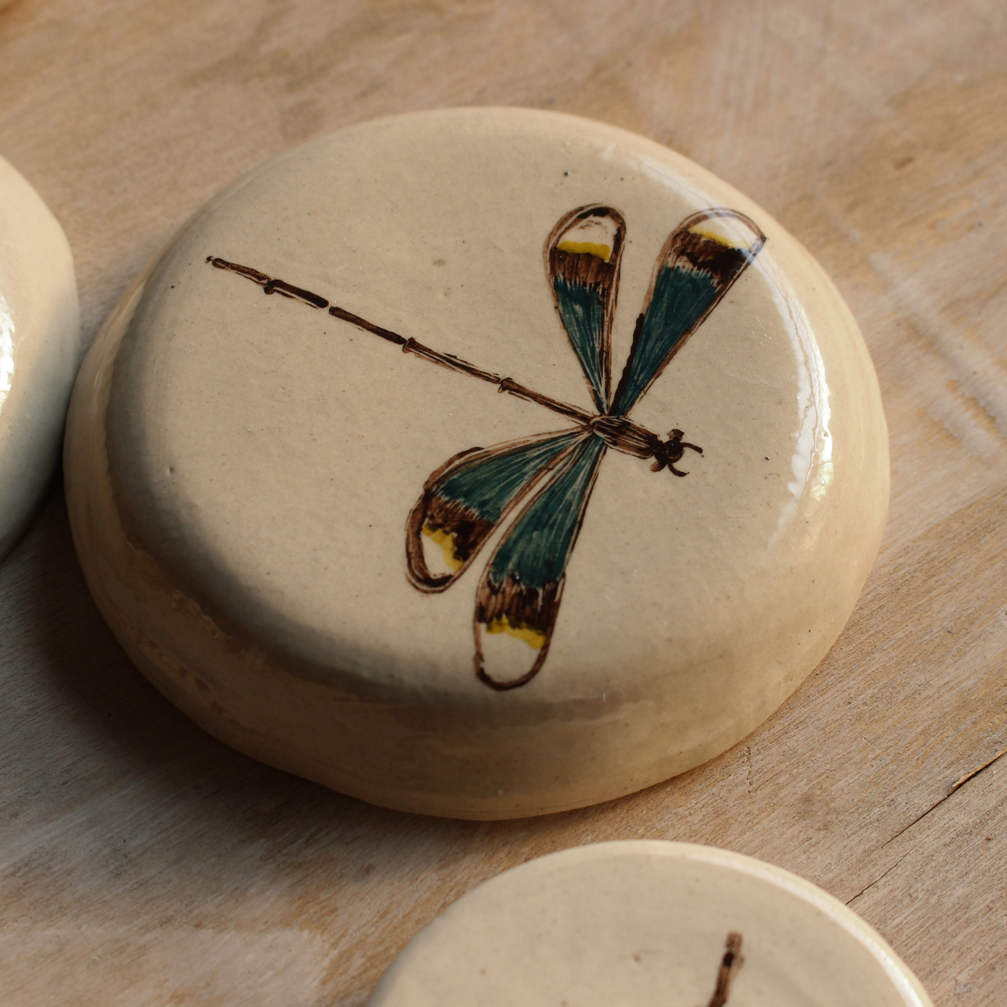 Damselfly wall decors