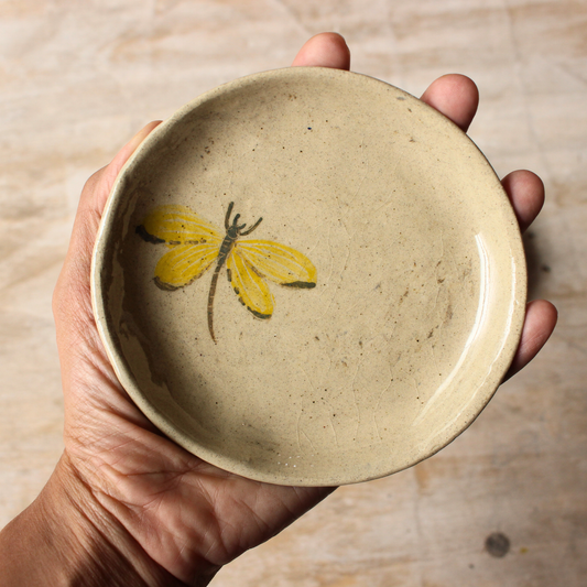 Trinket dish - insects