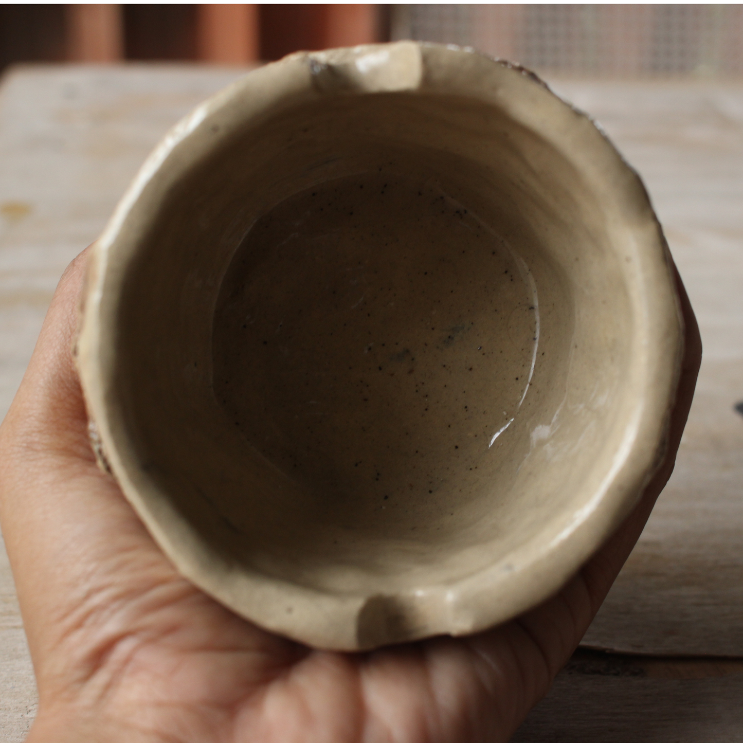 Water holder bowl